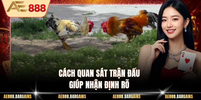 Cách quan sát trận đấu giúp nhận định rõ
