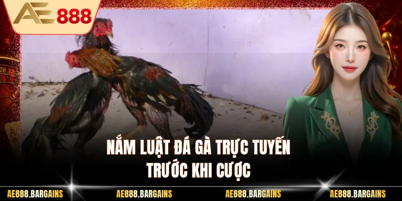 Nắm luật đá gà trực tuyến trước khi cược