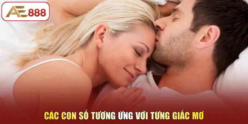 Các con số tương ứng với từng giấc mơ