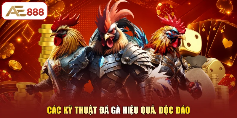 Các kỹ thuật đá gà hiệu quả, độc đáo