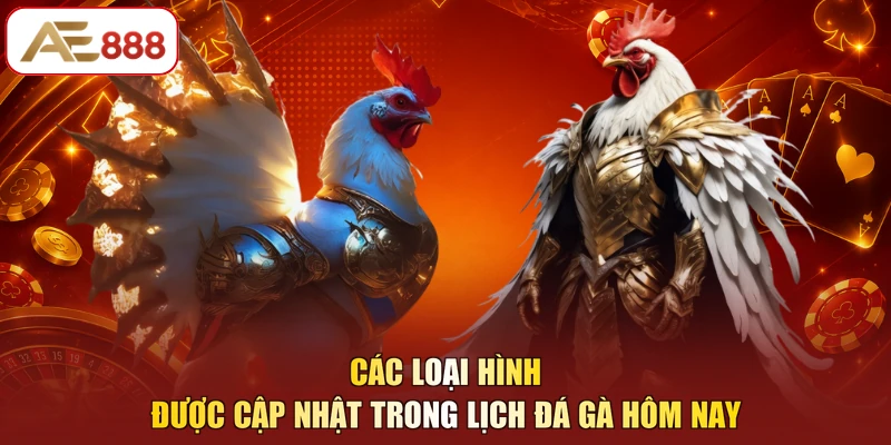 Các loại hình được cập nhật trong lịch đá gà hôm nay