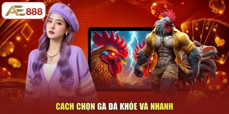 Cách chọn gà đá khỏe và nhanh 