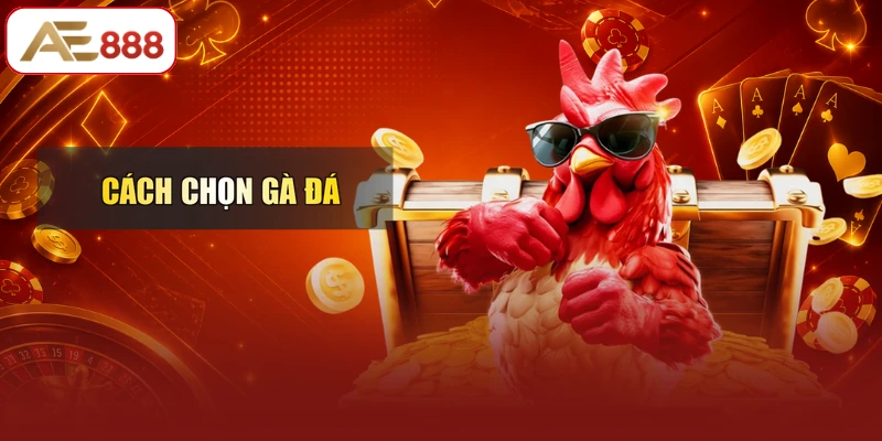 Cách Chọn Gà Đá