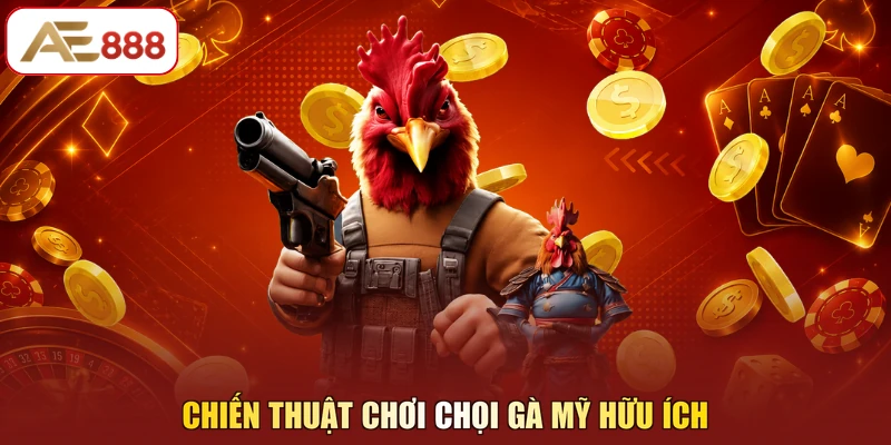 Chiến thuật chơi chọi gà Mỹ hữu ích