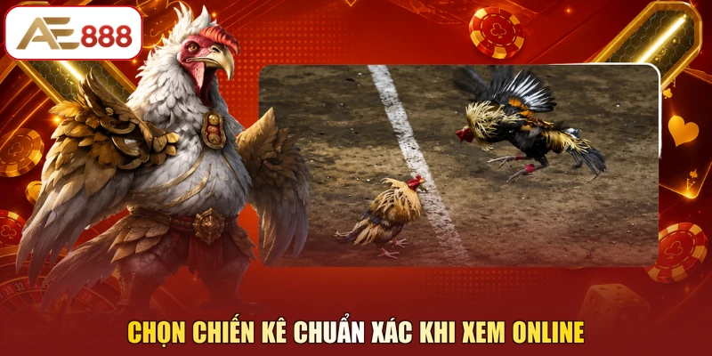 Chọn chiến kê chuẩn xác khi xem online