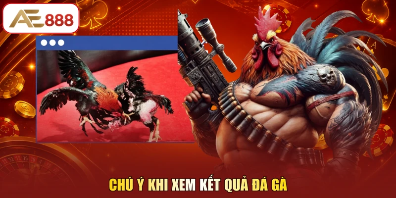 Chú ý khi xem kết quả đá gà