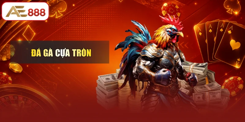 Đá gà cựa tròn