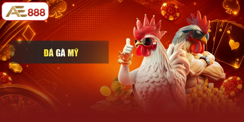 Đá Gà Mỹ