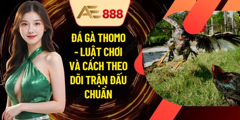 Đá Gà Thomo - Luật Chơi Và Cách Theo Dõi Trận Đấu Chuẩn