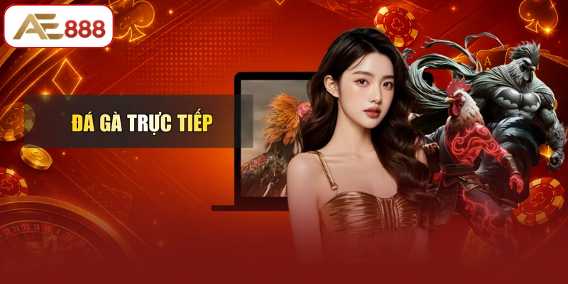 Đá Gà Trực Tiếp