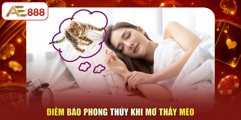 Điềm báo phong thủy khi mơ thấy mèo
