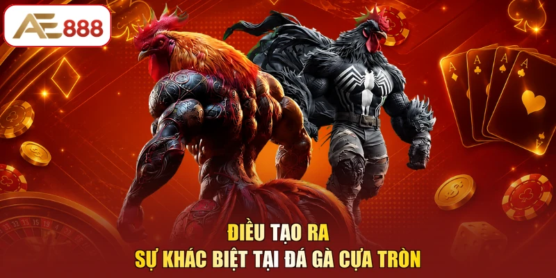 Điều tạo ra sự khác biệt tại đá gà cựa tròn