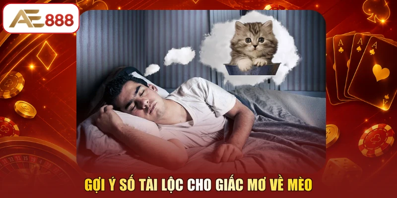 Gợi ý số tài lộc cho giấc mơ về mèo