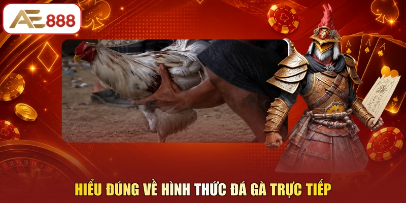 Hiểu đúng về hình thức đá gà trực tiếp