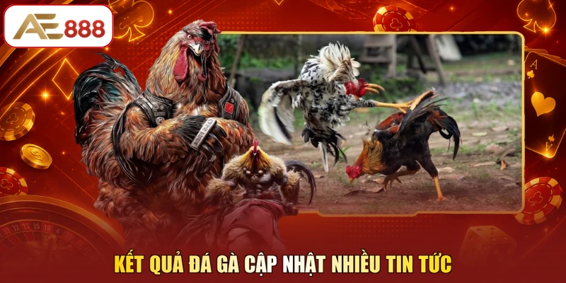 Kết quả đá gà cập nhật nhiều tin tức