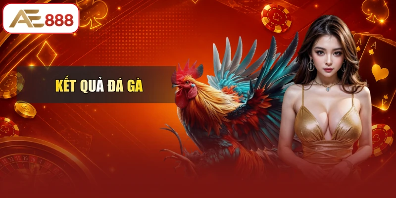 Kết Quả Đá Gà