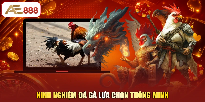 Kinh nghiệm đá gà lựa chọn thông minh