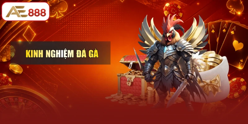 Kinh Nghiệm Đá Gà