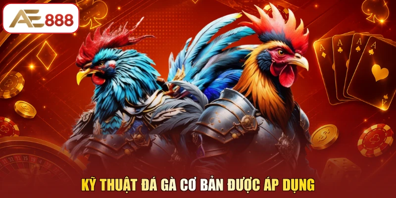 Kỹ thuật đá gà cơ bản được áp dụng