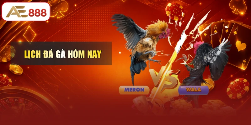 Lịch Đá Gà Hôm Nay
