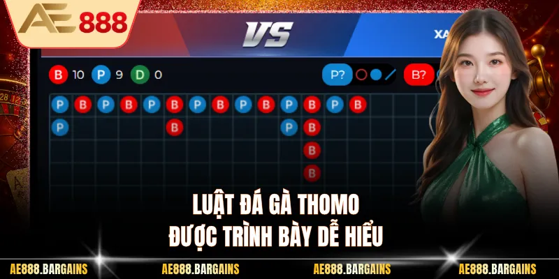 Luật đá gà thomo được trình bày dễ hiểu