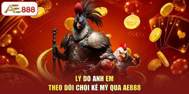 Lý do anh em theo dõi chọi kê Mỹ qua AE888