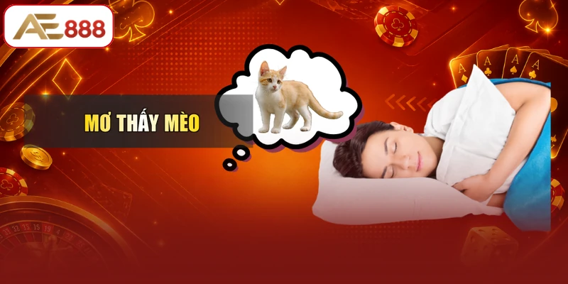 Mơ Thấy Mèo