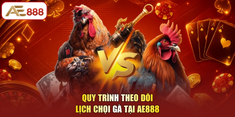 Quy trình theo dõi lịch chọi gà tại AE888