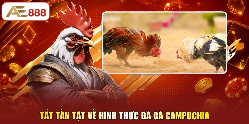 Tất tần tật về hình thức đá gà Campuchia
