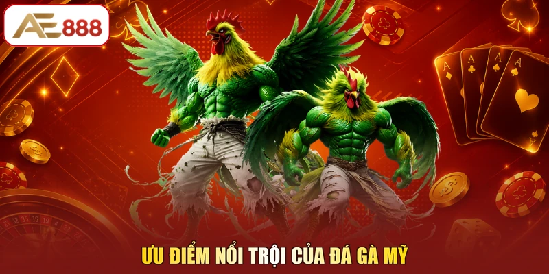 Ưu điểm nổi trội của đá gà Mỹ