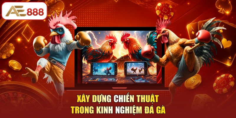 Xây dựng chiến thuật trong kinh nghiệm đá gà