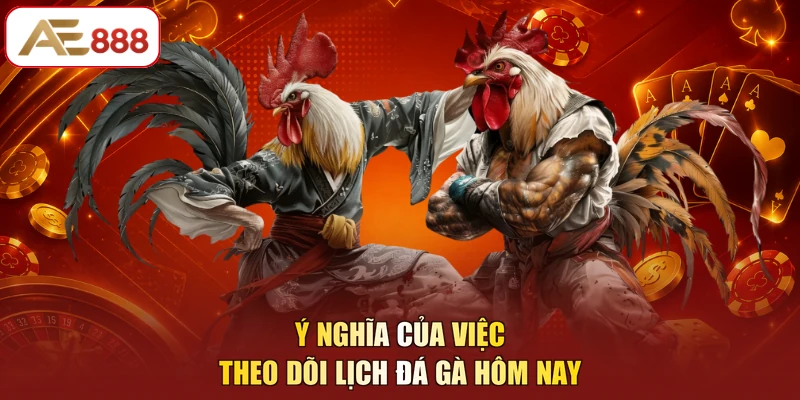 Ý nghĩa của việc theo dõi lịch đá gà hôm nay