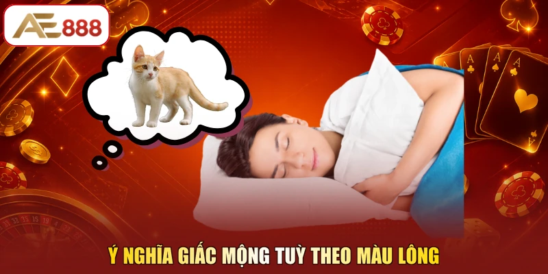Ý nghĩa giấc mộng tuỳ theo màu lông